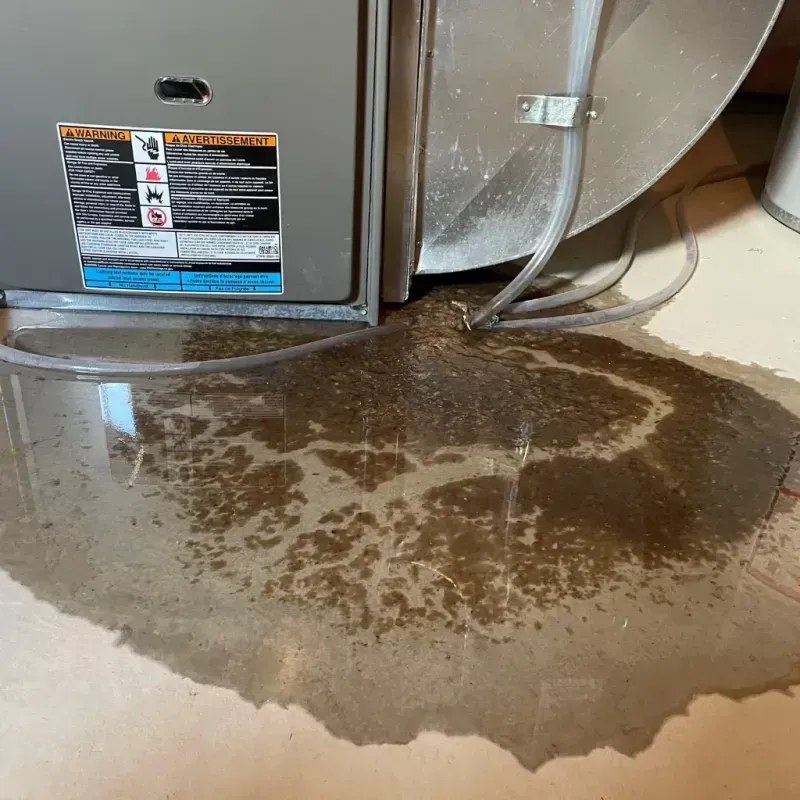 Appliance Leak Cleanup in Richland County, OH